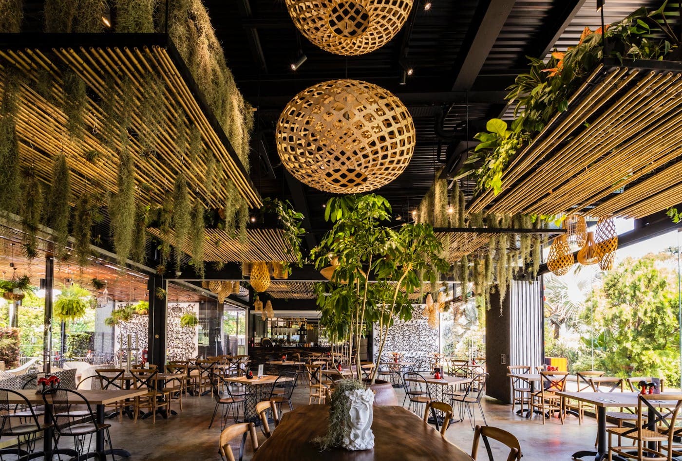 Rattan pendant lights and hanging greenery above empty timber tables in the garden dining room