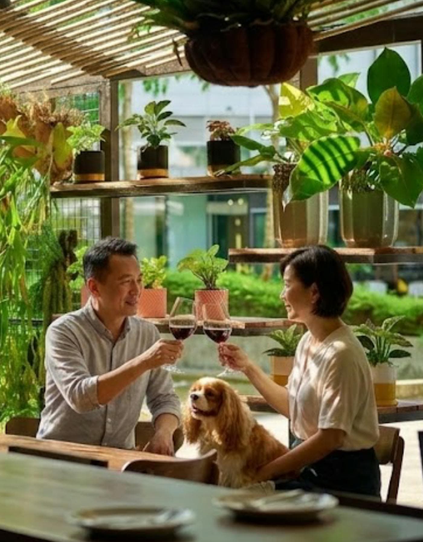 A couple toasting with red wine at a plant-filled table, a spaniel sitting between them