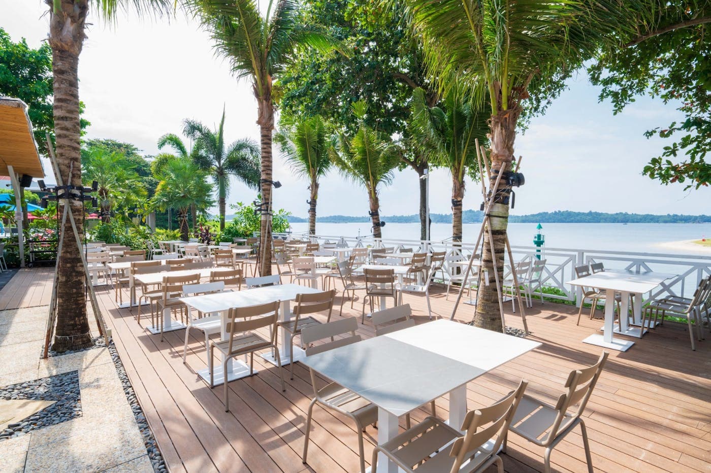 Tables under the palms on the deck, the sea and a headland beyond