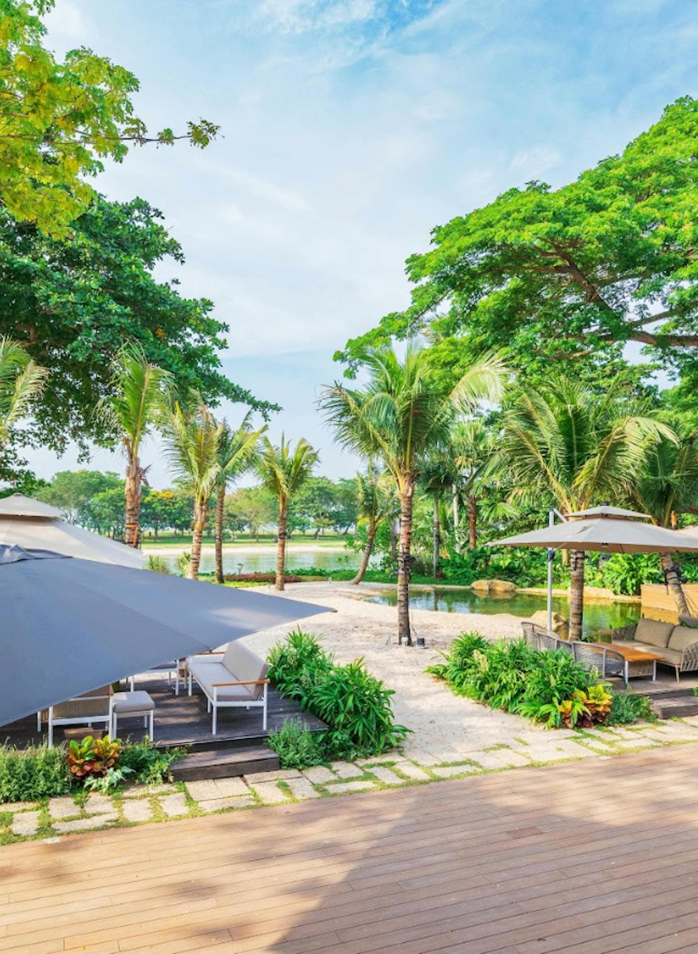 Loungers and umbrellas on the terrace under palms, beside the lake