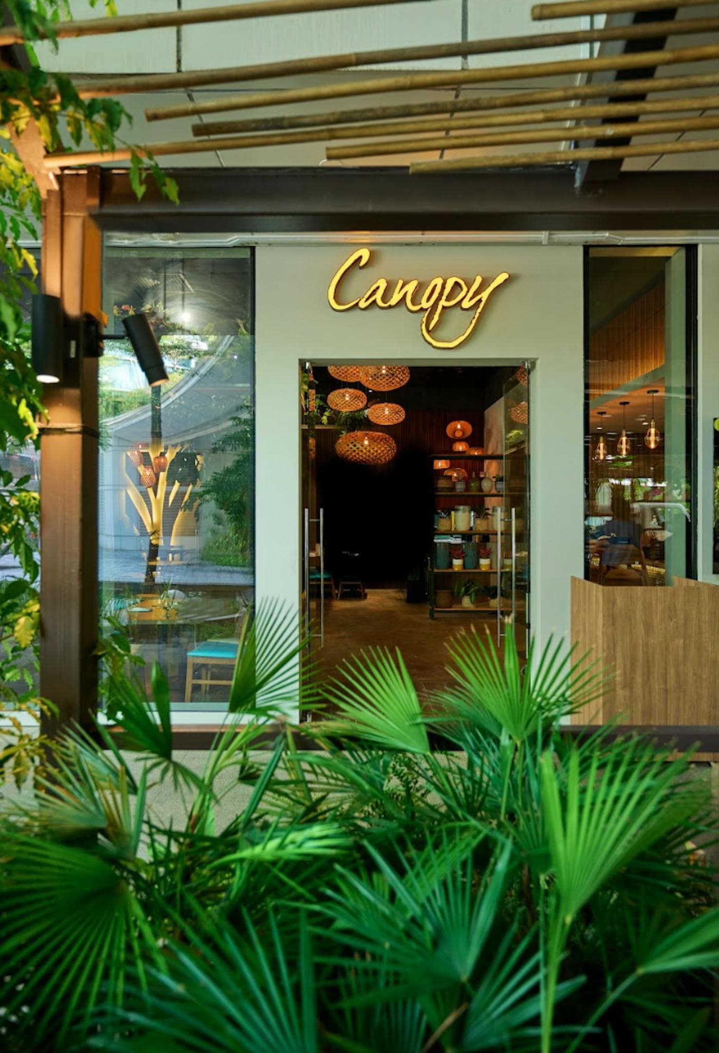 The lit Canopy sign above the entrance, fan palms in front