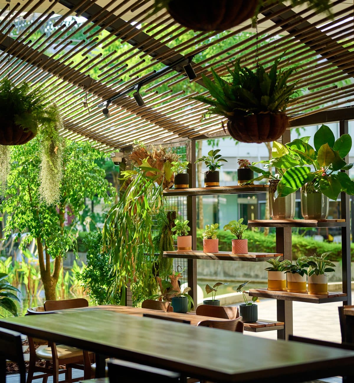 The alfresco terrace at Canopy Changi City Point under its slatted pergola, potted greenery on the shelves
