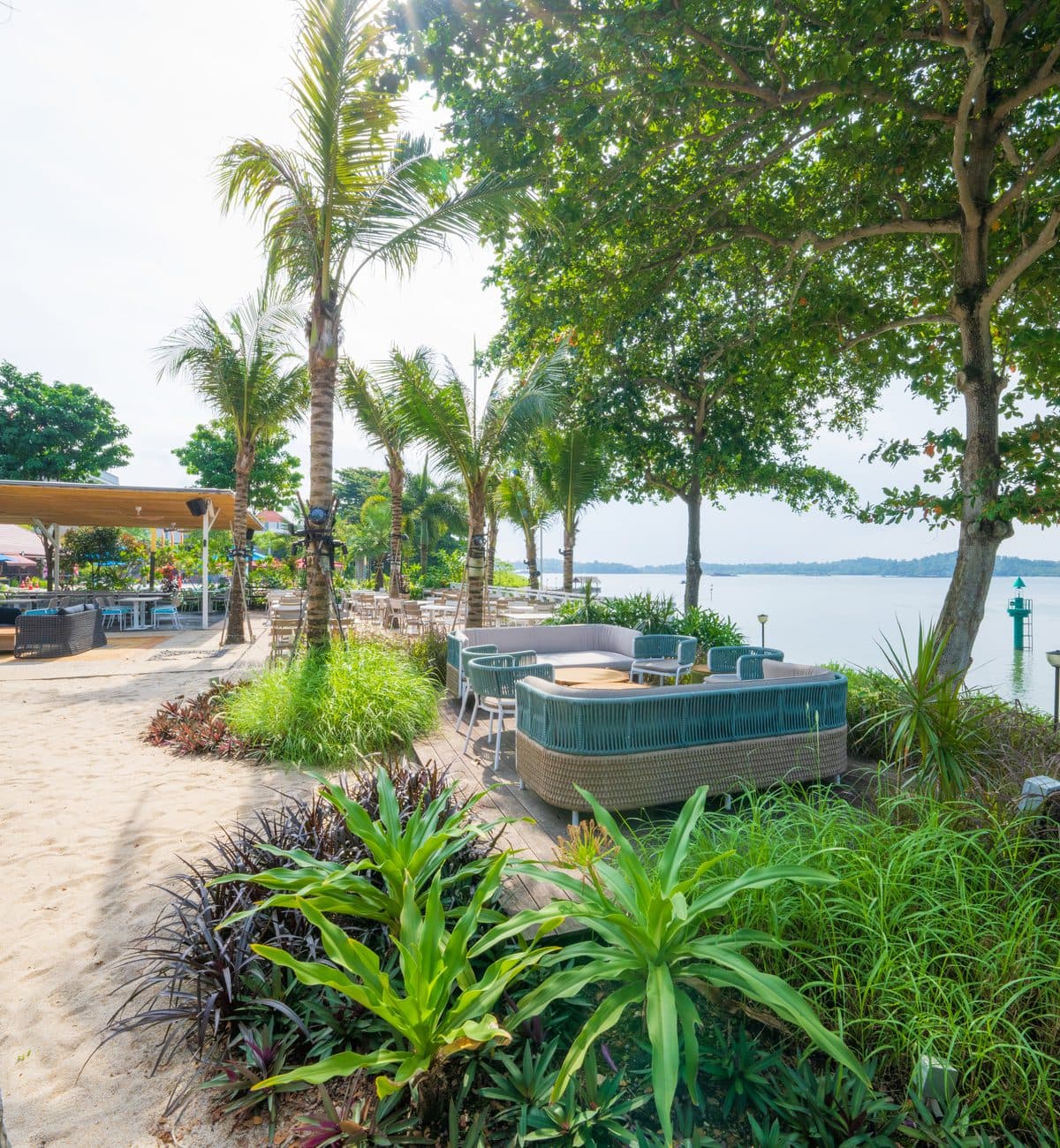 The planting and palms at Canopy Changi Village, the sea past the treeline