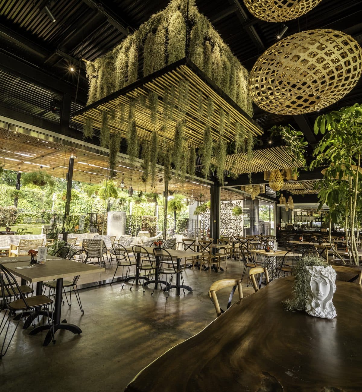 The dining room at Canopy HortPark, moss and greenery hung from the ceiling above the tables