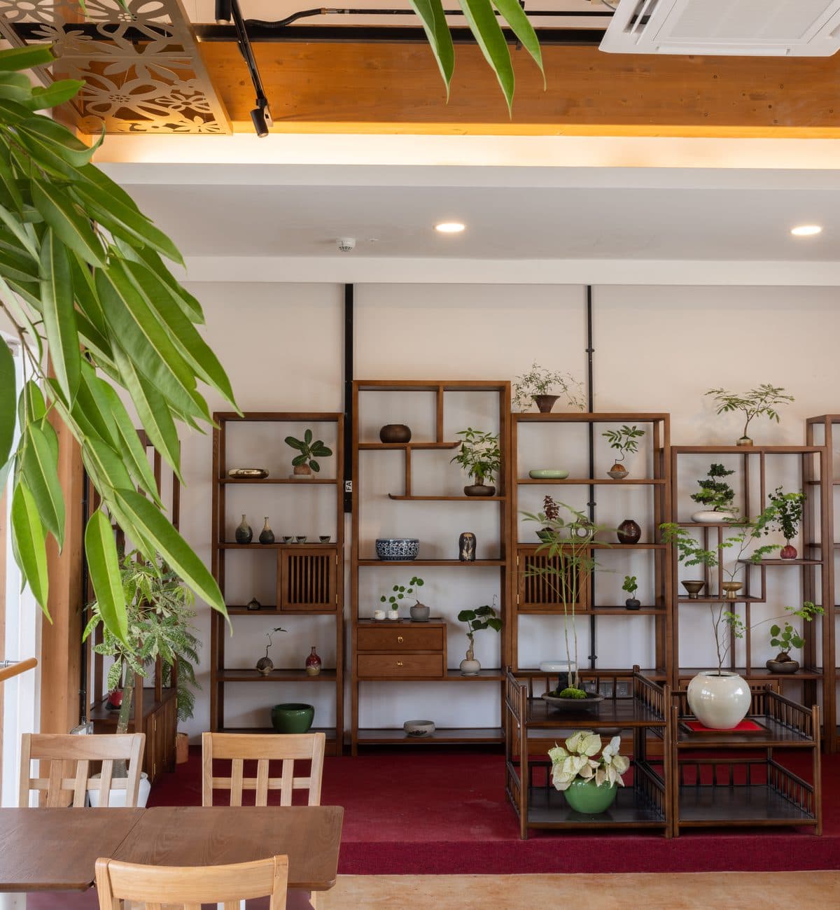 The timber display shelving at Canopy Jurong Lake Gardens, planting and ceramics on every shelf