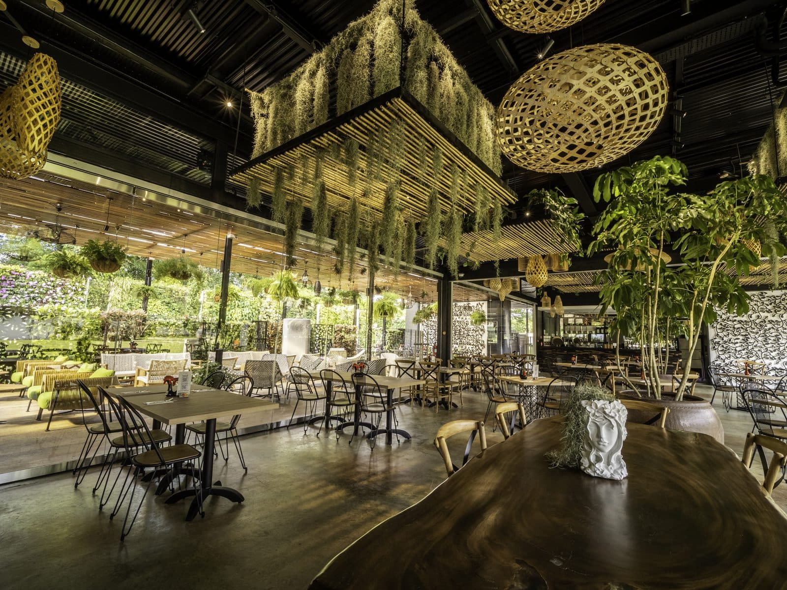 The dining room at Canopy HortPark, greenery hung from the ceiling above the tables and glass onto the park