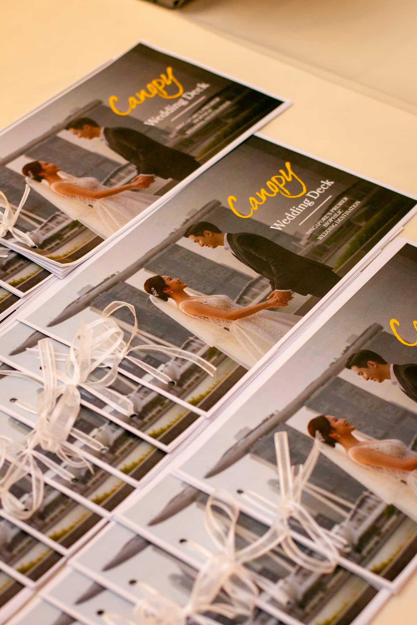 Canopy wedding brochures fanned out and tied with ribbon